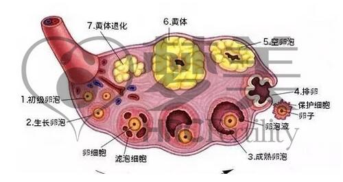 QQ截图20170713101630.jpg