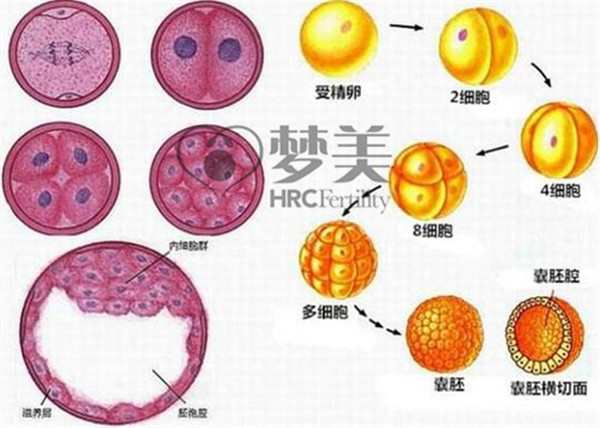 QQ截图20170620102109.jpg